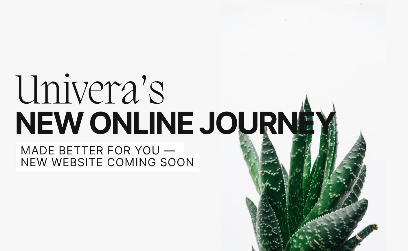 We’re Ready for a New Beginning